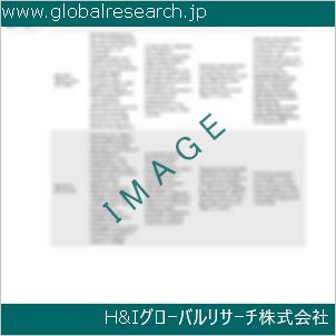 グローバルリサーチ調査資料のイメージ